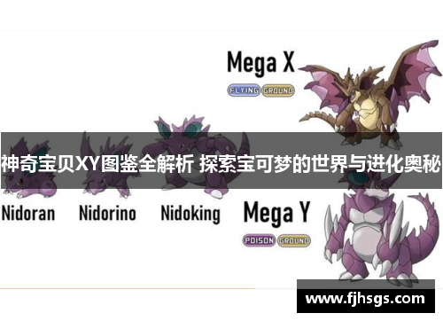神奇宝贝XY图鉴全解析 探索宝可梦的世界与进化奥秘